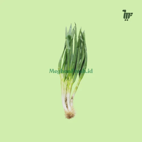 Daun Bawang & Seledri