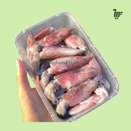 Cumi-Cumi Ukuran Sedang 450gr