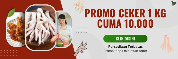 Promo Banner 1